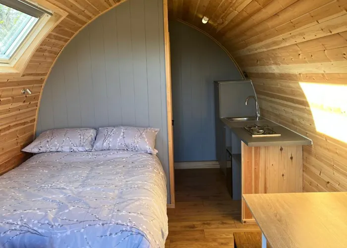 Carmel Pod