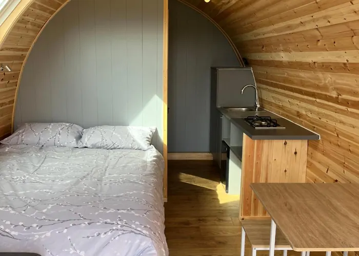 Carmel Pod